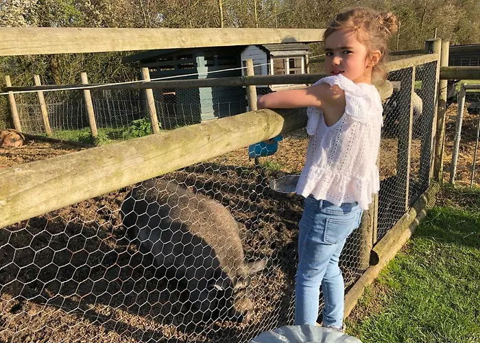Willow Court Farm Studio East & Petting Farm, 8 Mins To Legoland & Windsor, 15 Mins To Lapland Uk